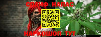 гидропоника Обнинск